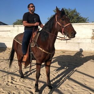 Meet your Posher, Dariel